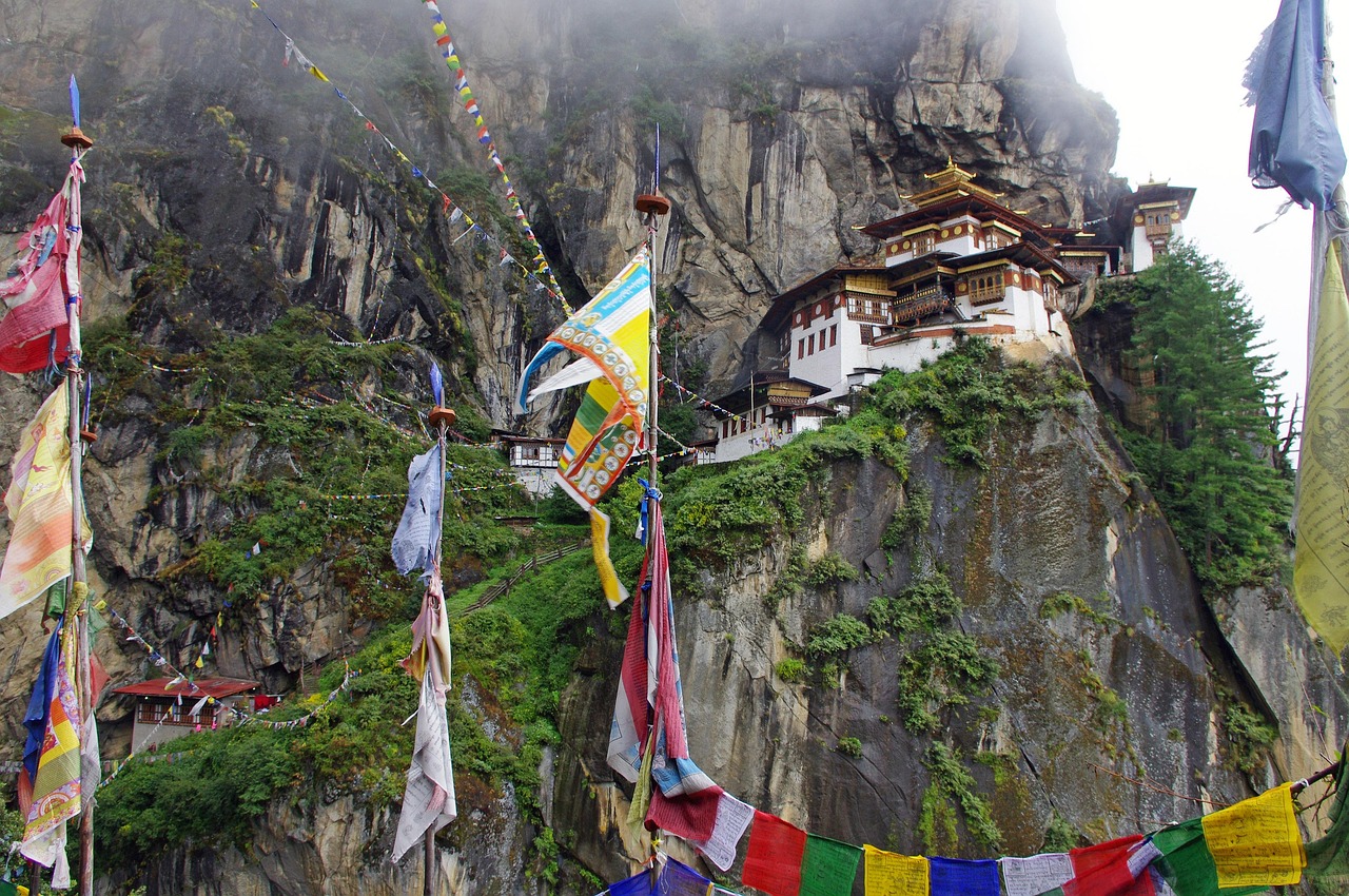 探索原始部落，建造家园的游戏之旅